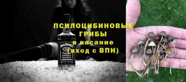 a pvp Аркадак