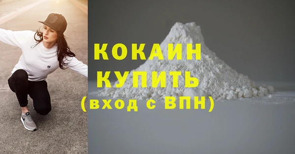 a pvp Аркадак