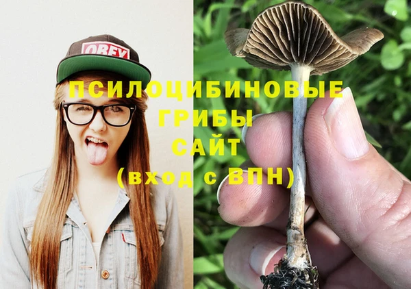 герыч Арсеньев